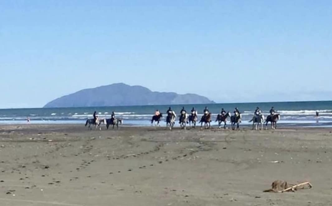 A lot of horses on the beach. 